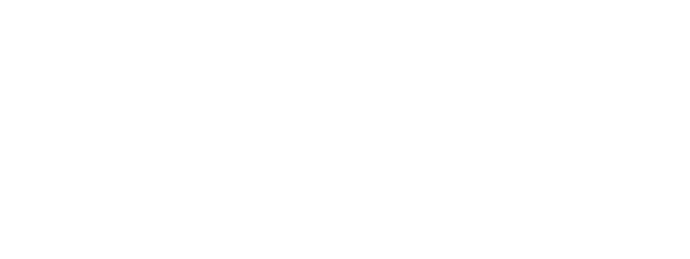 Erasmus Q-Intelligence (EQI) logo